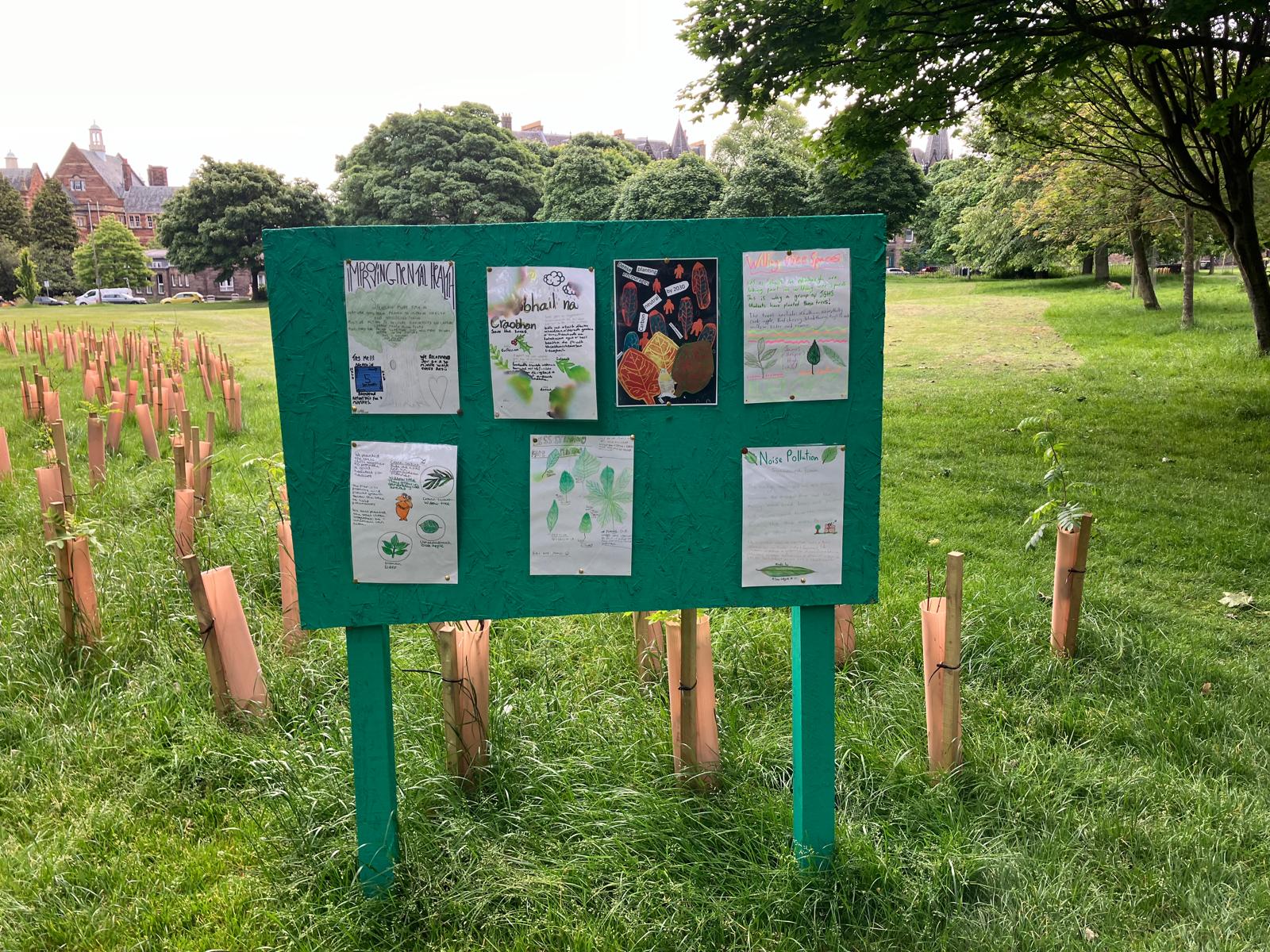 WWS notice board