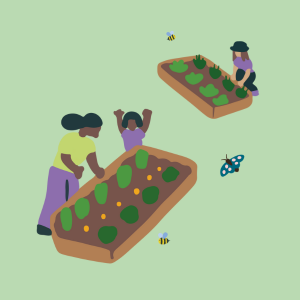 Graphic of vegetables patch