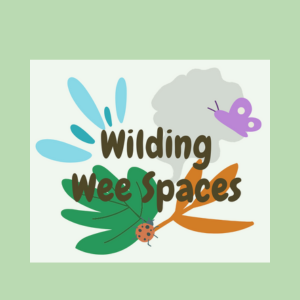 WWS logo icon