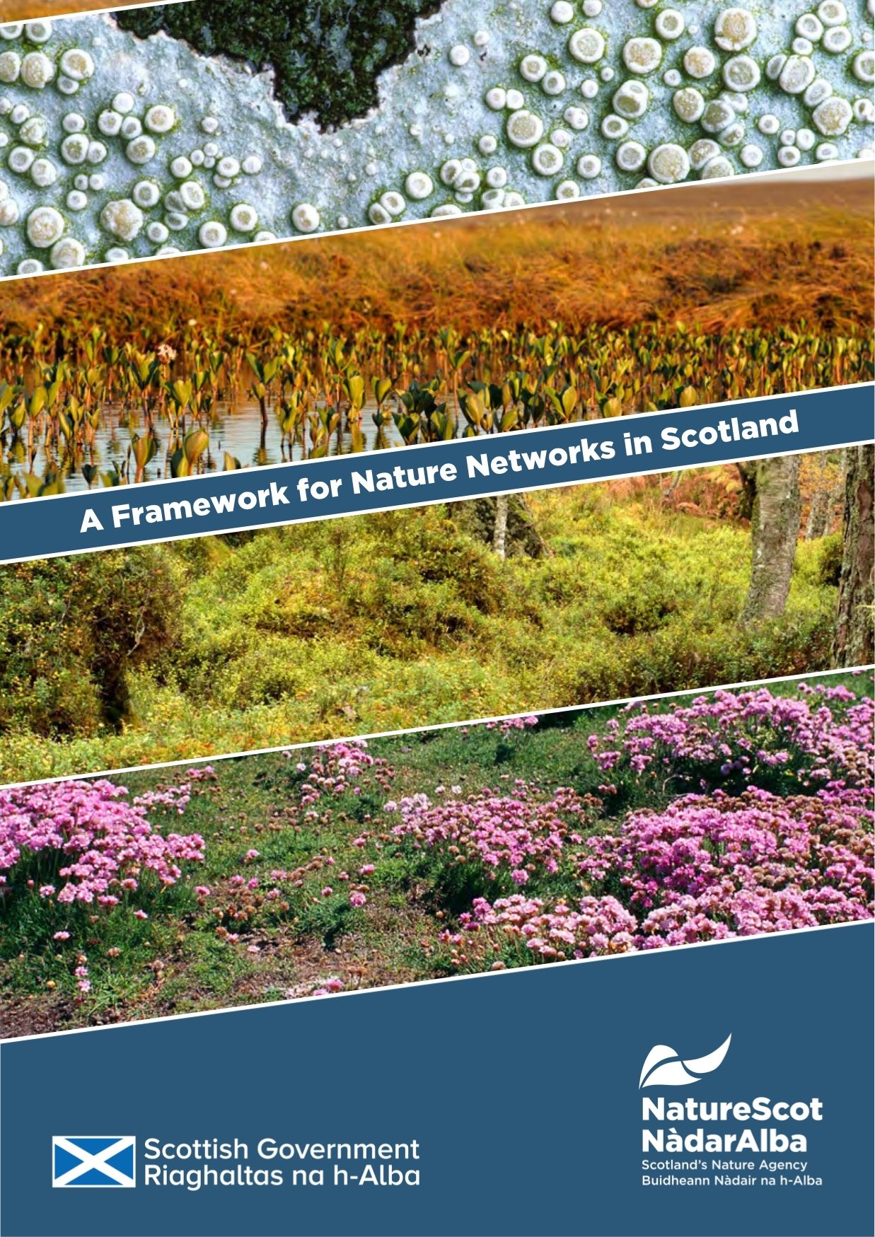 Frontpage of a Framework for nature networks by NatureScot