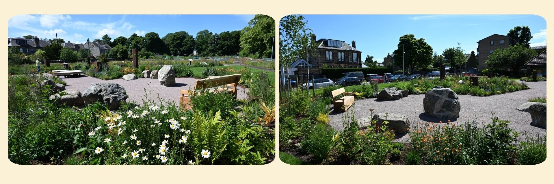 drakkars drift garden