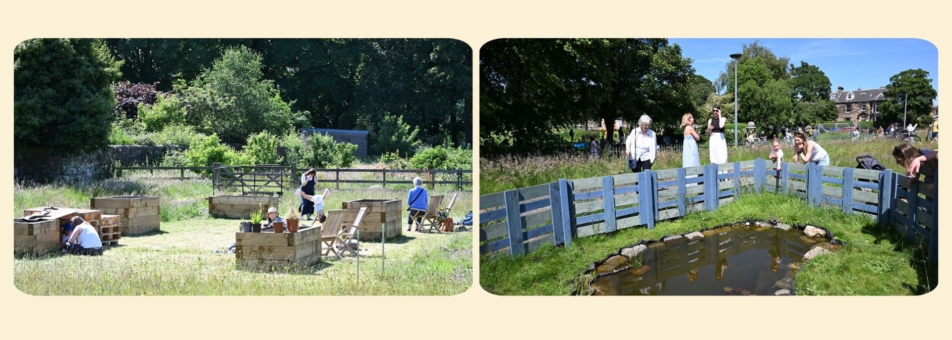 people near raised beds and a pond